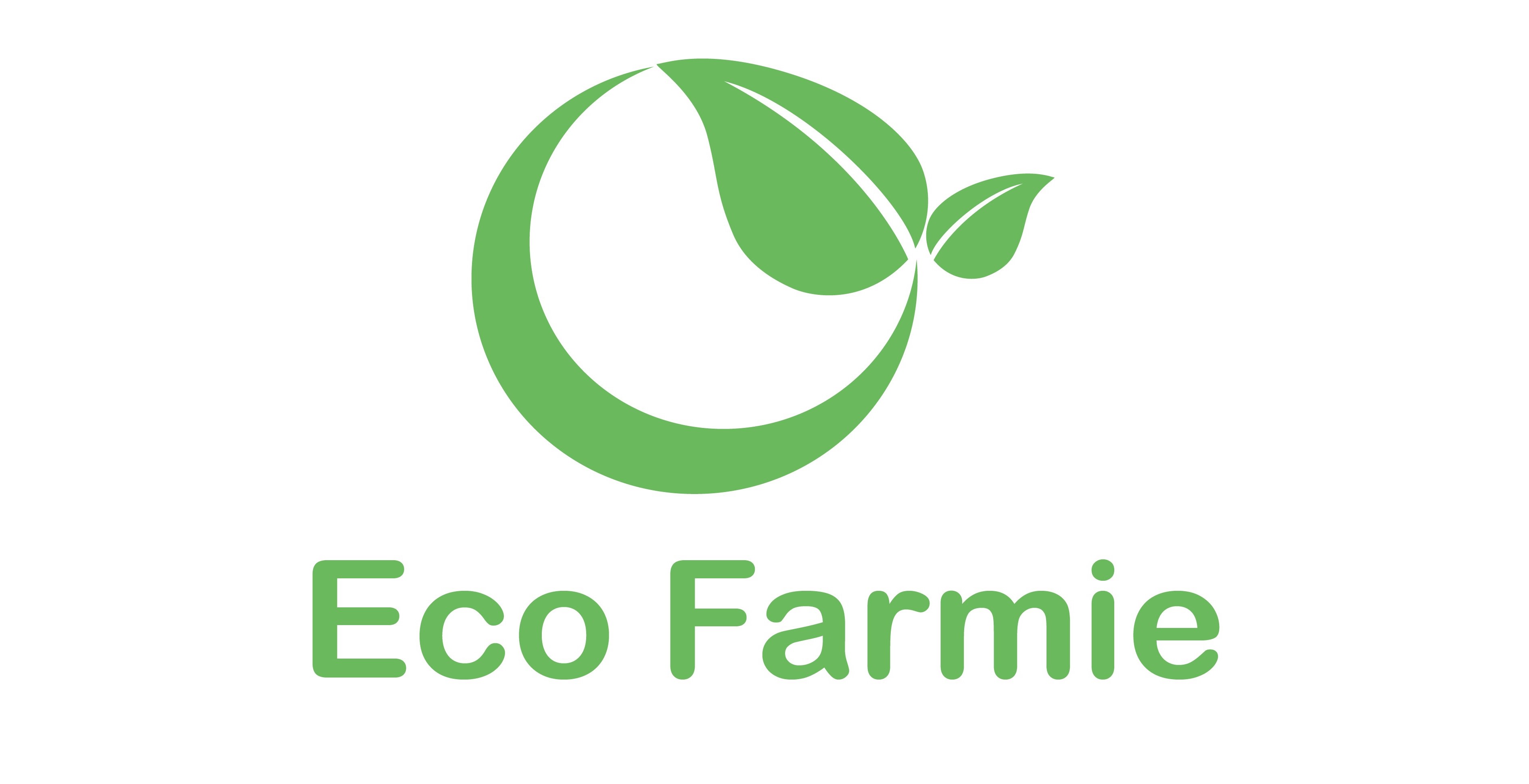 Eco Friendly Home Decor Production