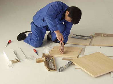Assembly Step