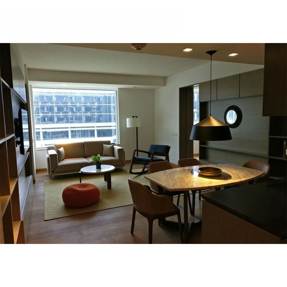 Eco Friendly Apartment Furniture for Modern Living End to End Customization
