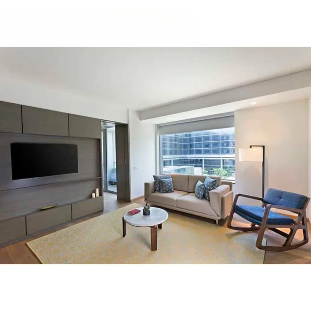 Eco Friendly Apartment Furniture for Modern Living End to End Customization