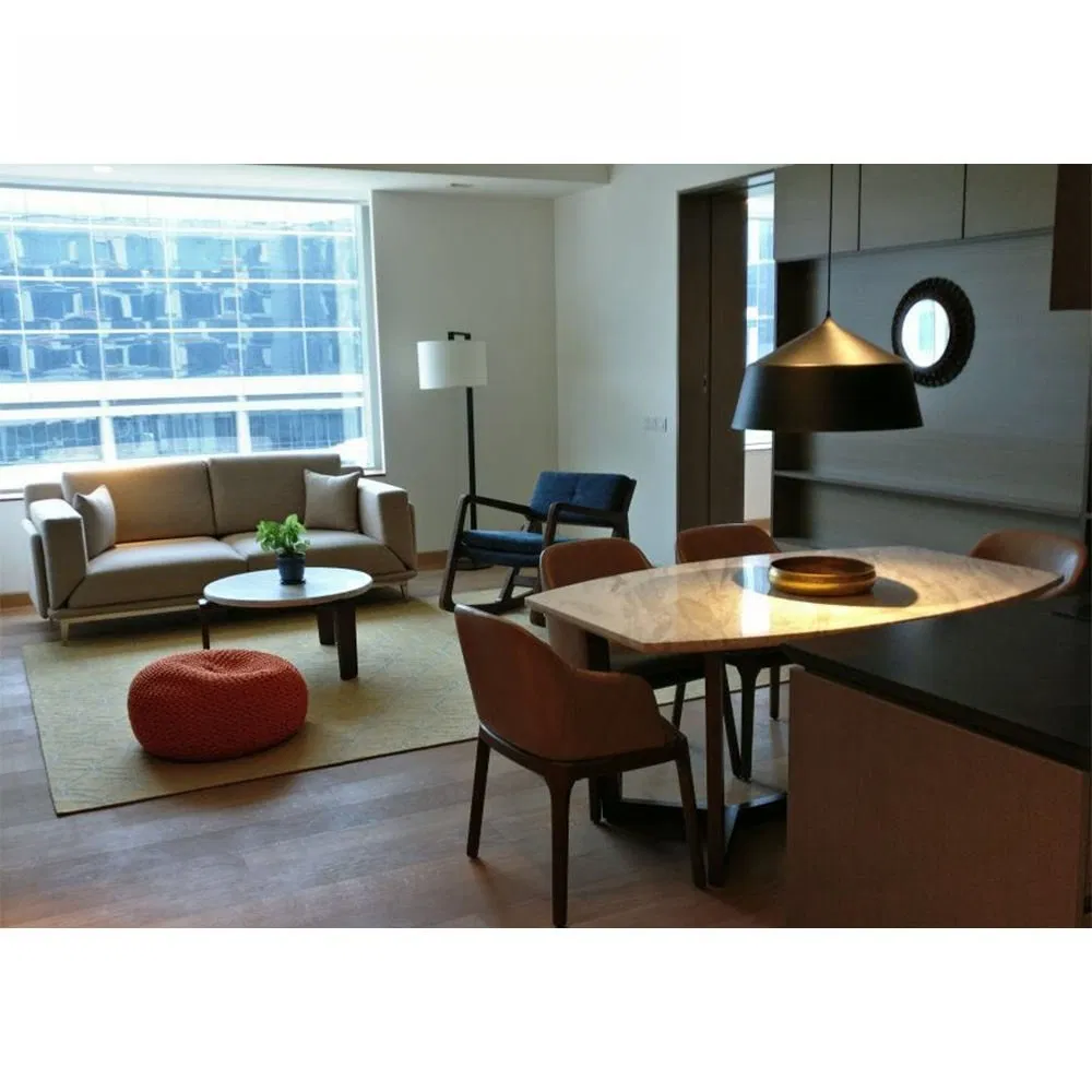 Eco Friendly Apartment Furniture for Modern Living End to End Customization