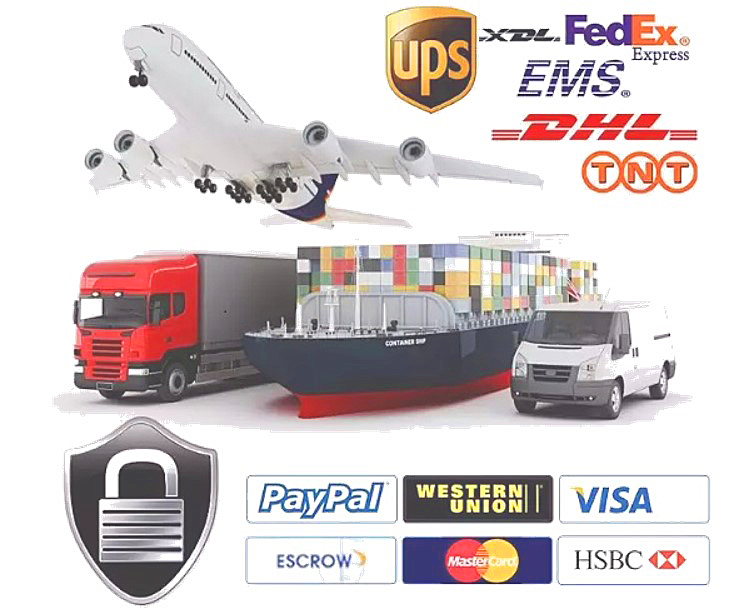 International Logistic and Safe Packing