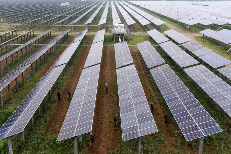 Eco-Friendly Solar Racking Systems for Sustainable Agriculture Solutions