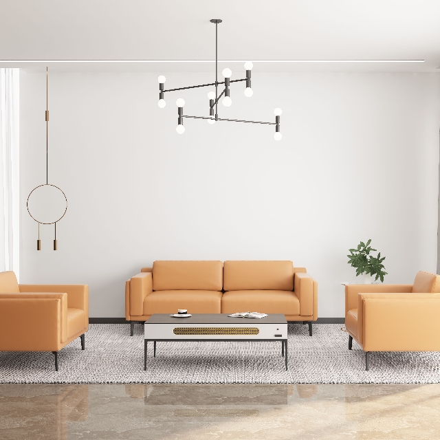 Xipi Office Sofa European Design Style Minimalist Wooden Steel Leather Modular Sectional Living Room Hotel School Outdoor Use Support customization