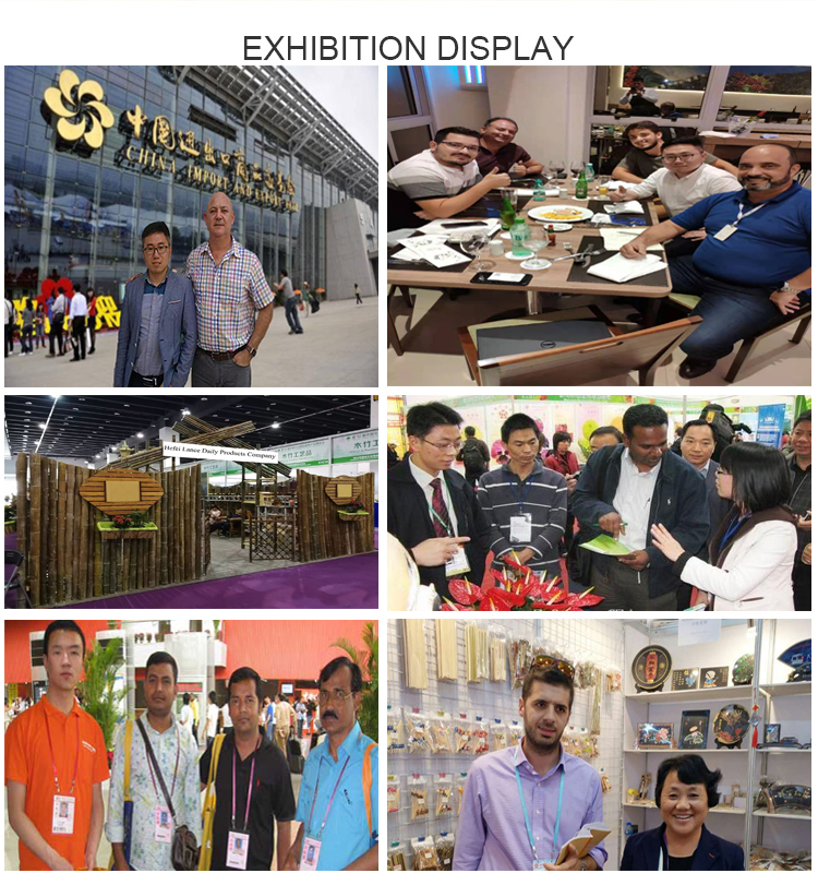 Exhibition Show