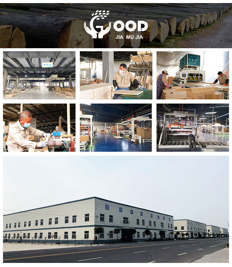 Manufacturing Facility