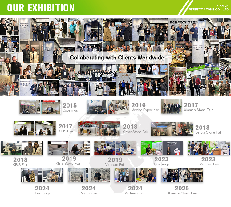 Exhibition History
