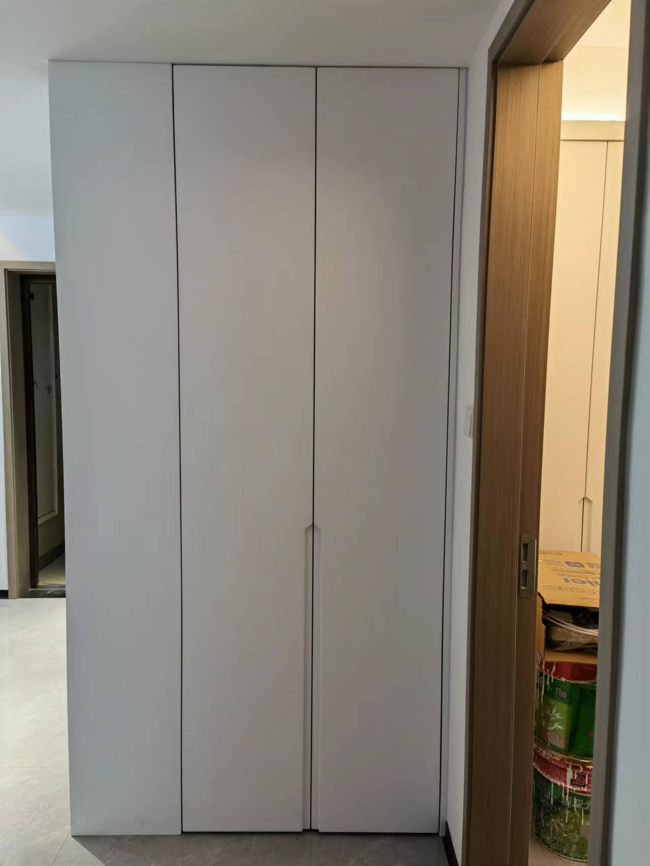Modern Light Luxury Minimalist Bedroom Furniture Wardrobe Detachable Design Adjustable Eco-Friendly Materials Easy Assembly
