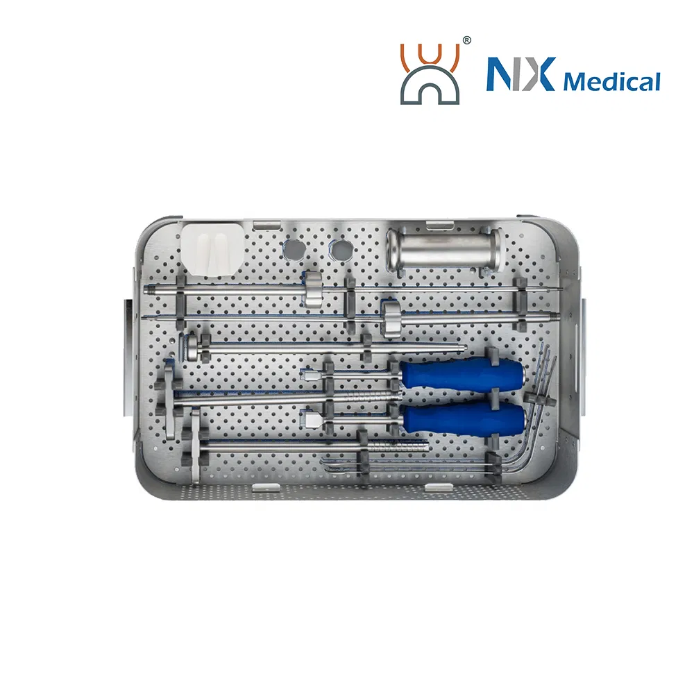 Nx Medical OEM/ODM Support Orthopedic Implant Available Lumbar Cage for Spinal Surgery