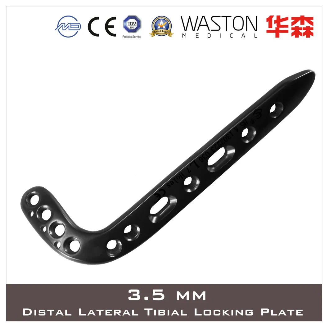Orthopaedic Locking Plate