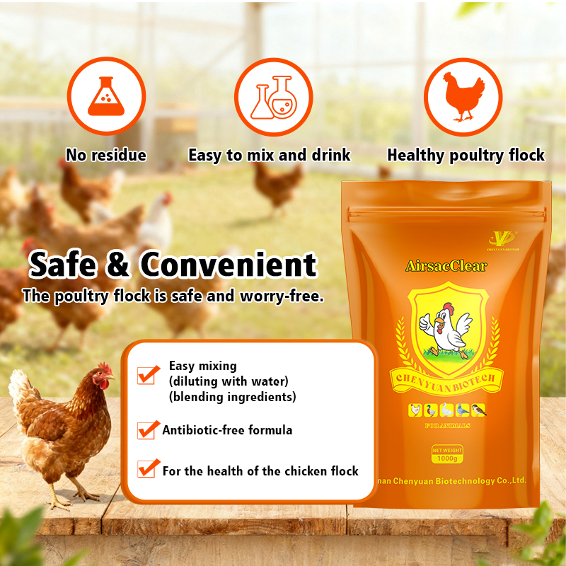 Poultry Respiratory Agent Airsacclear - Viral/Bacterial Airsacculitis Control for Chicken