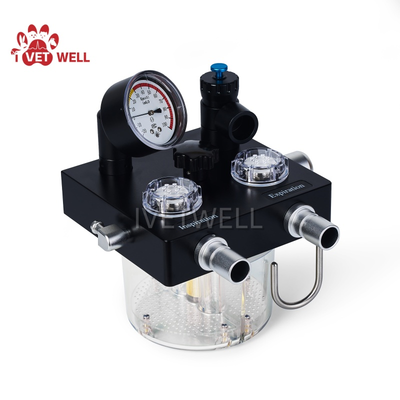 Safe Veterinary Anesthesia System Featuring Gentle Sedation for Small and Large Pets