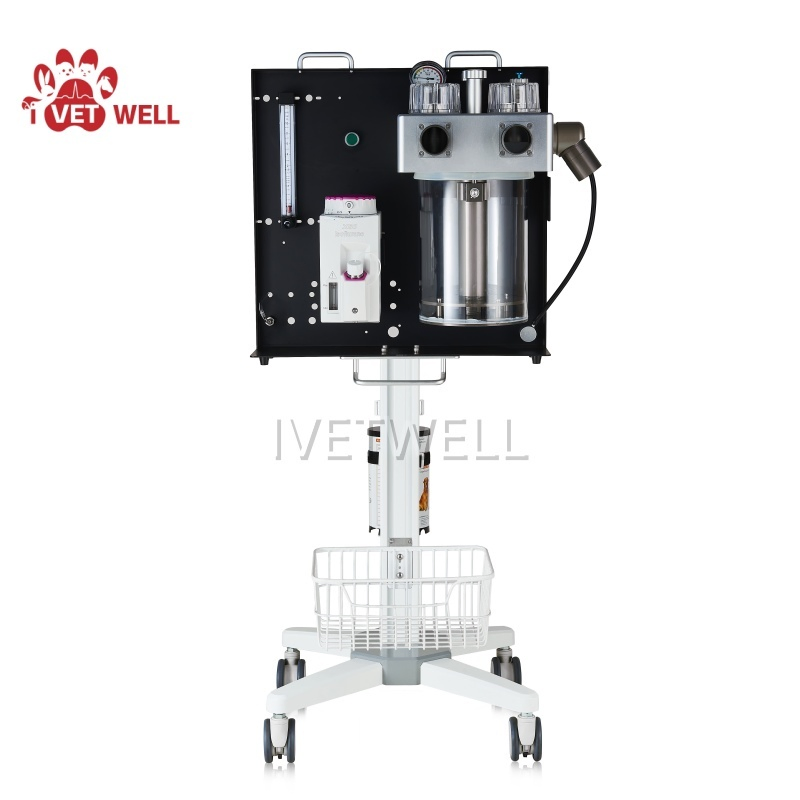 Safe Veterinary Anesthesia System Featuring Gentle Sedation for Small and Large Pets