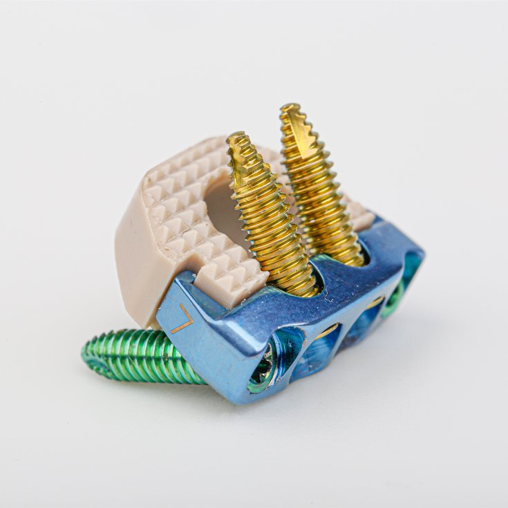 Spine Cervical Cage with Plate and Screw Peek Cage Orthopedic Implants
