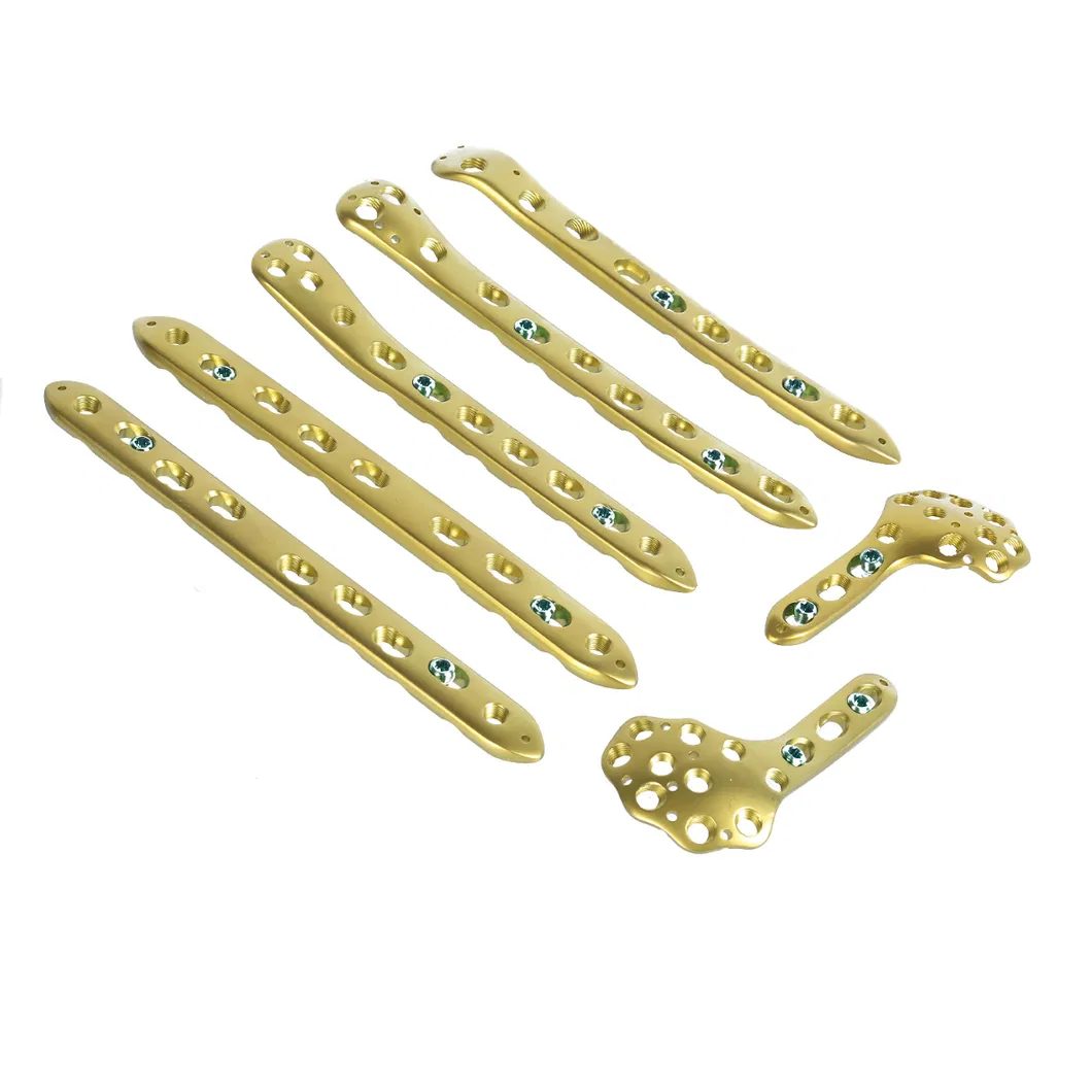 Detailed Orthopedic Implant