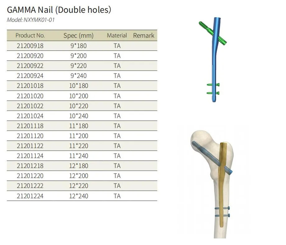 Gamma Interlocking Nail