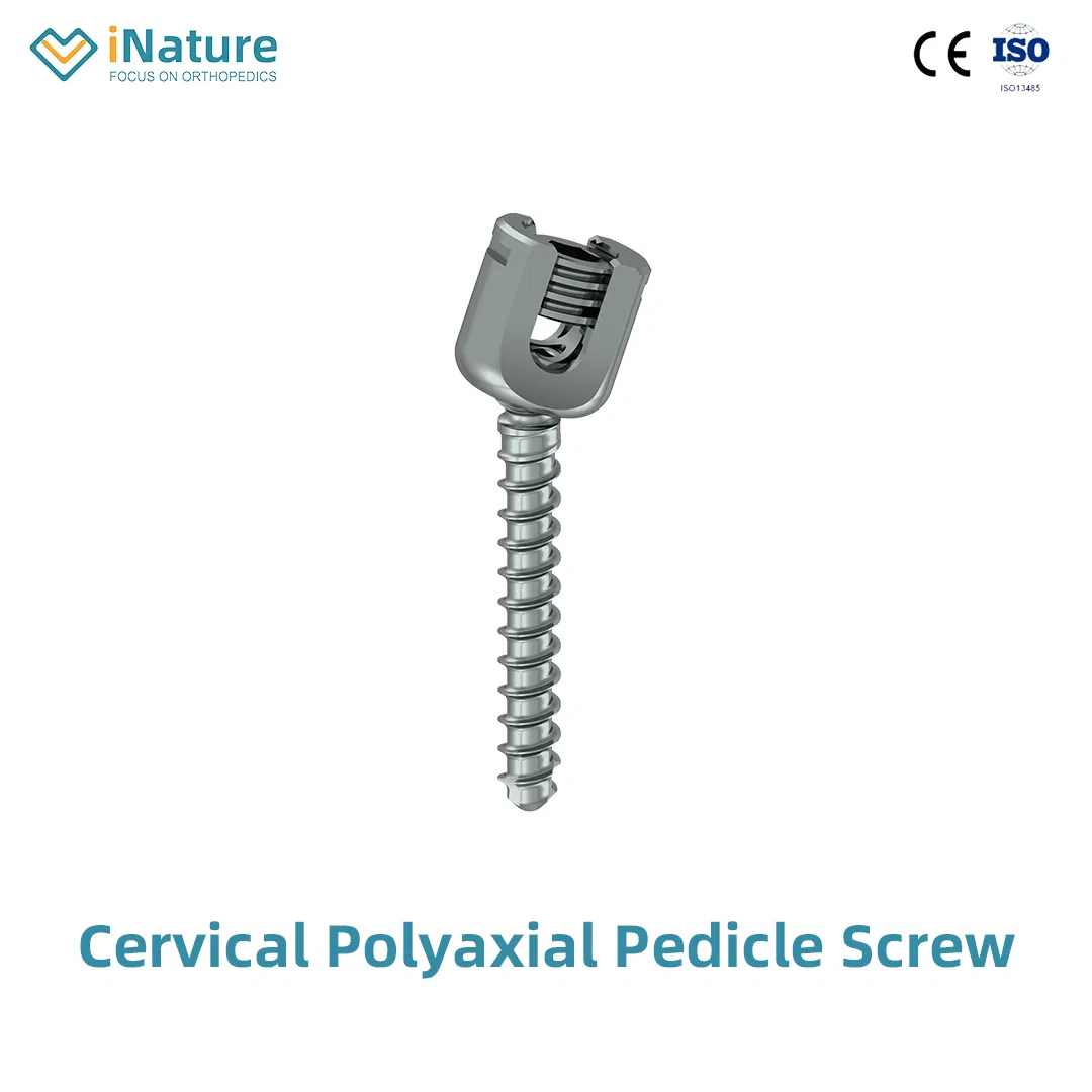 Top Quality Posterior Pedicle Screws Orthopedic Implants Titanium Material