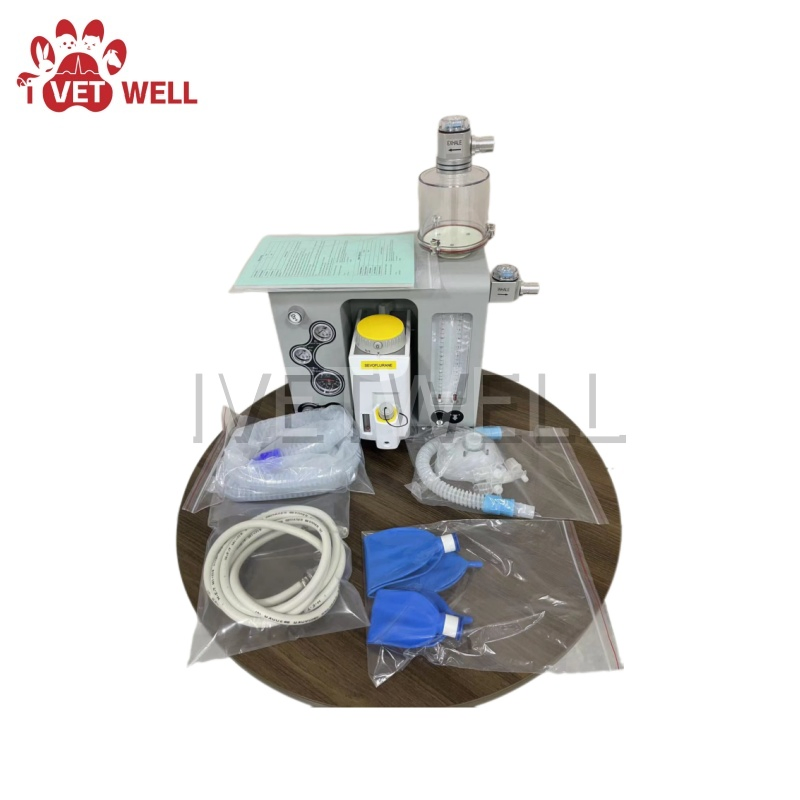 Veterinary Anesthesia System for Efficient Animal Procedures