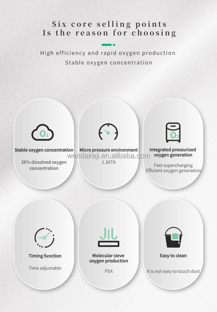 Hyperbaric Oxygen Chamber View 2