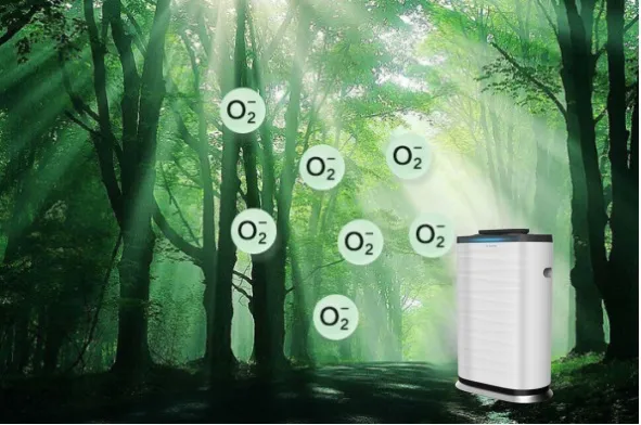 Air Purifier Showcase