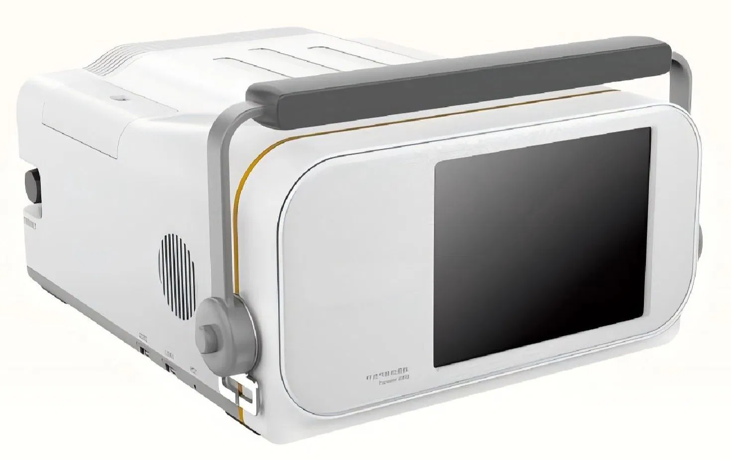 Portable Gas Chromatography Mass Spectrometry System