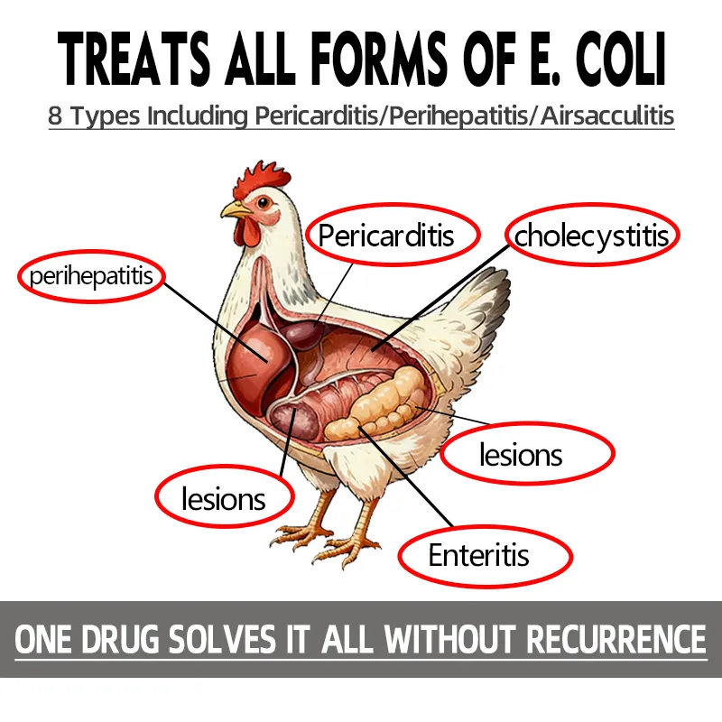 Secondary Infection Control