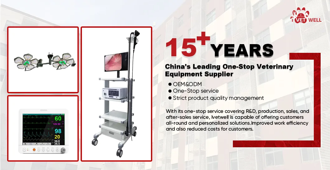 Veterinary Anesthesia System