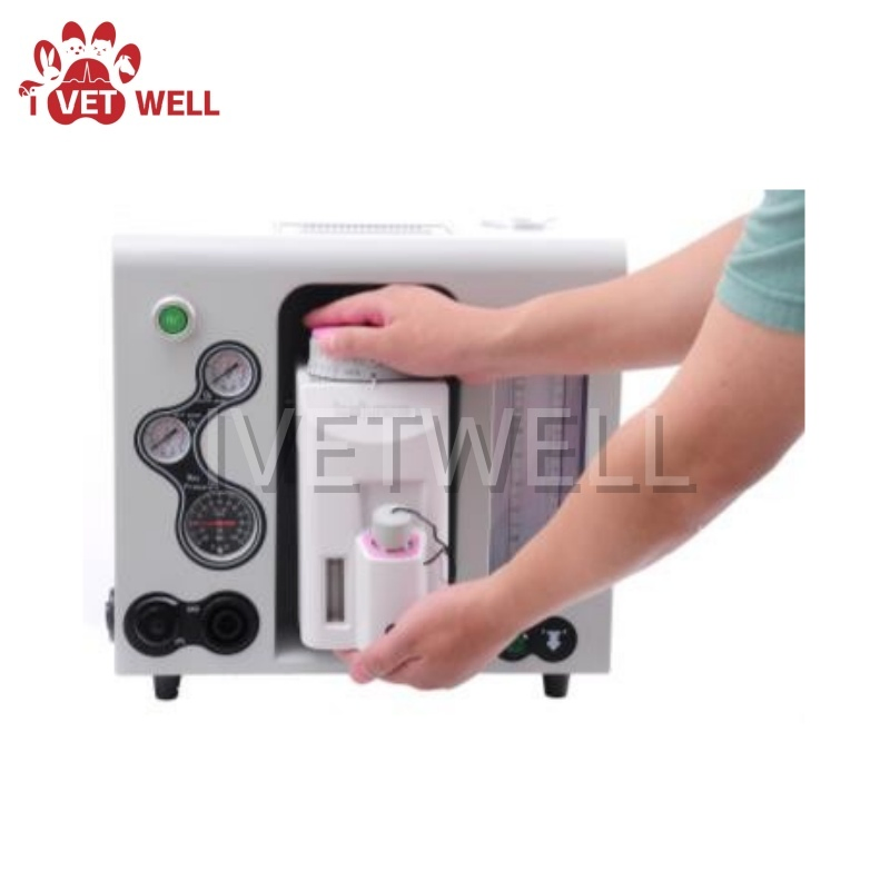 Veterinary Anesthesia System for Efficient Animal Procedures