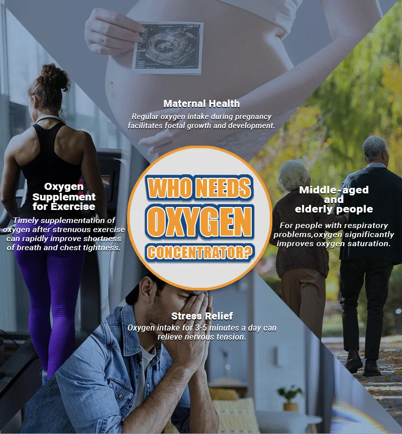 Oxygen Concentrator View 1