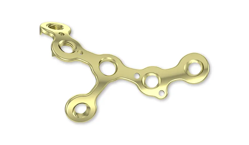 Orthopedic Trauma Implant View