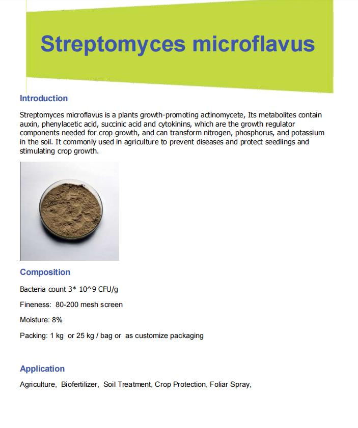 Producing Nematode Control Prevention of Soil Borne Diseases Improving Quality Streptomyces Microflavus
