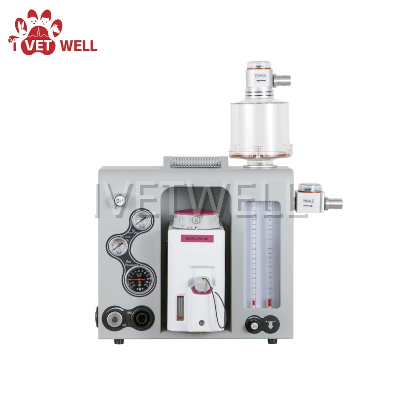 Veterinary Anesthesia System for Efficient Animal Procedures