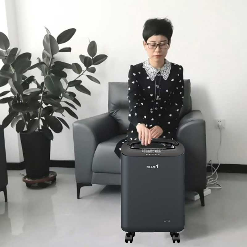 Subhealth Therapy Oxygen Supplement Economic 5L Oxygen Product for Healthcare