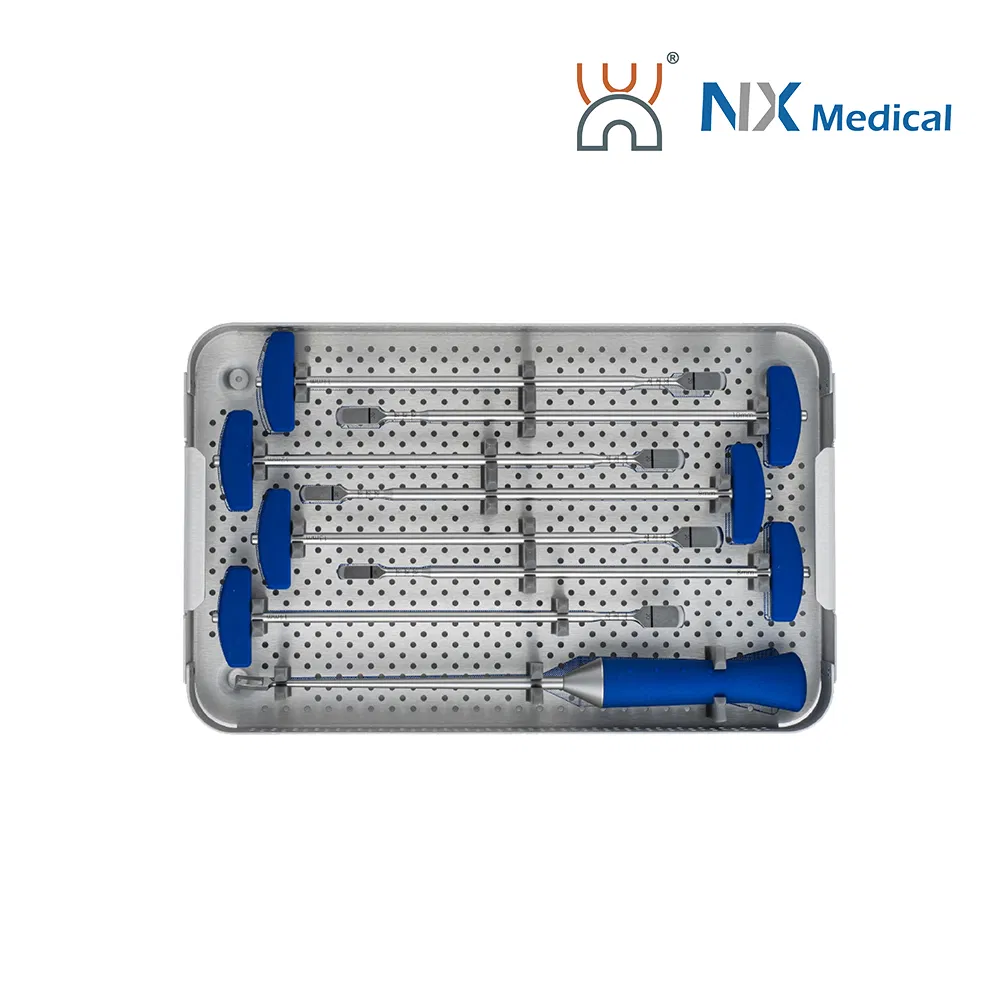 Nx Medical OEM/ODM Support Orthopedic Implant Available Lumbar Cage for Spinal Surgery