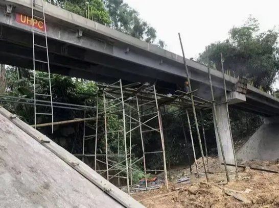 Steel Fiber Appearance