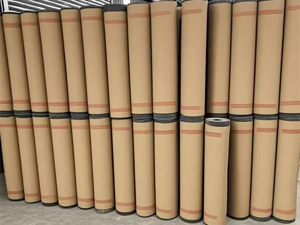 Asphalt Gasket Detail