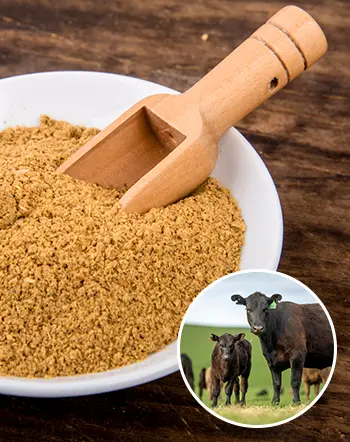 Cosmetic-grade plant extract for skincare formulation