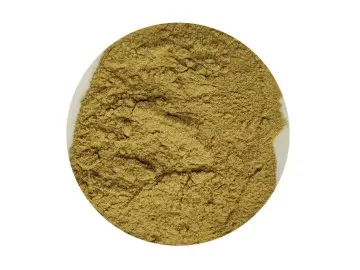 Olive leaf extract oleuropein polyphenols antioxidant