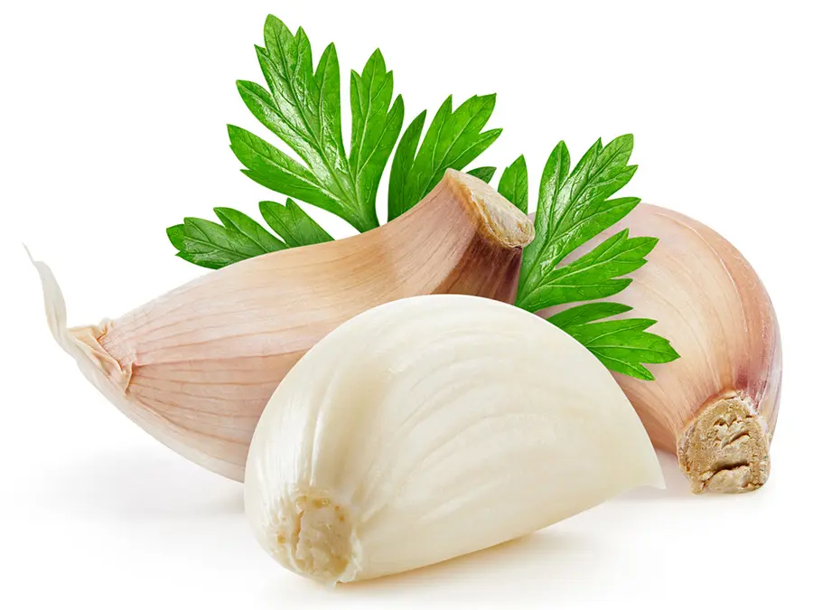 Custom Garlic extract Manufacturers, Product