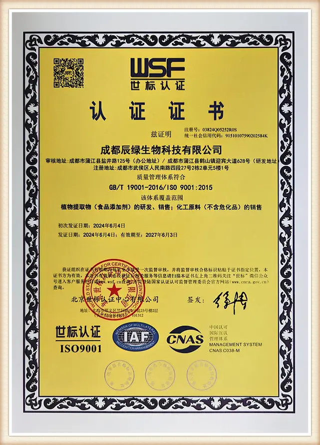 Certificate 6