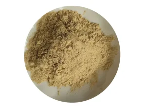 Ginkgo biloba extract