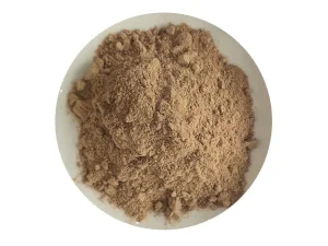 OEM Dandelion extract Supplier, Exporter