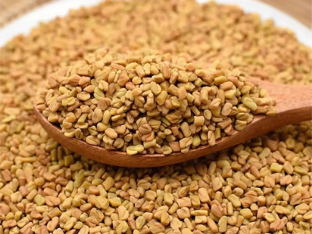 Discount Fenugreek seed extract Manufacturers, Factory