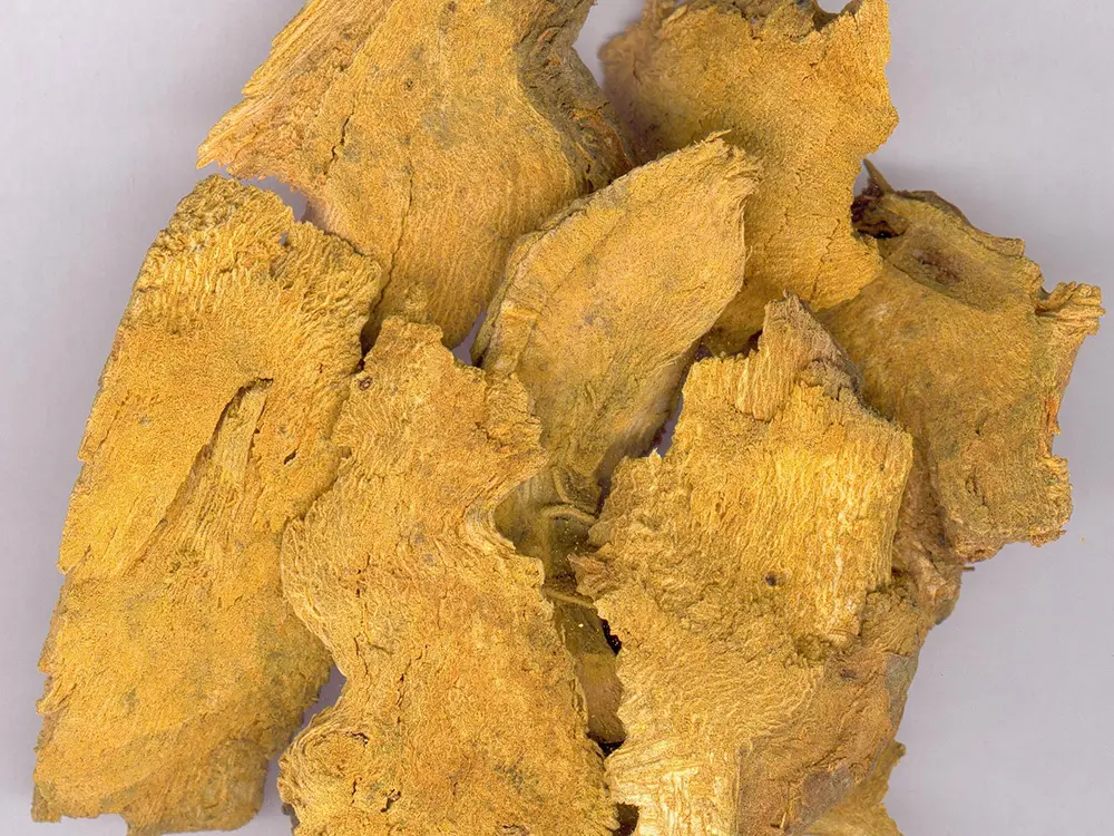 Cheap Polygonum cuspidatum extract Exporter, Company