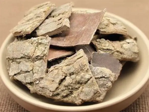 OEM Eucommia ulmoides extract Suppliers, Pricelist