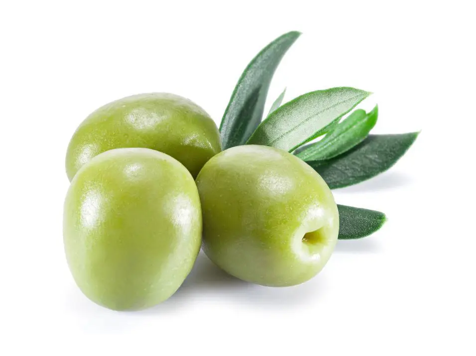 Buy Olive Leaf Extract Manufacturer, Service