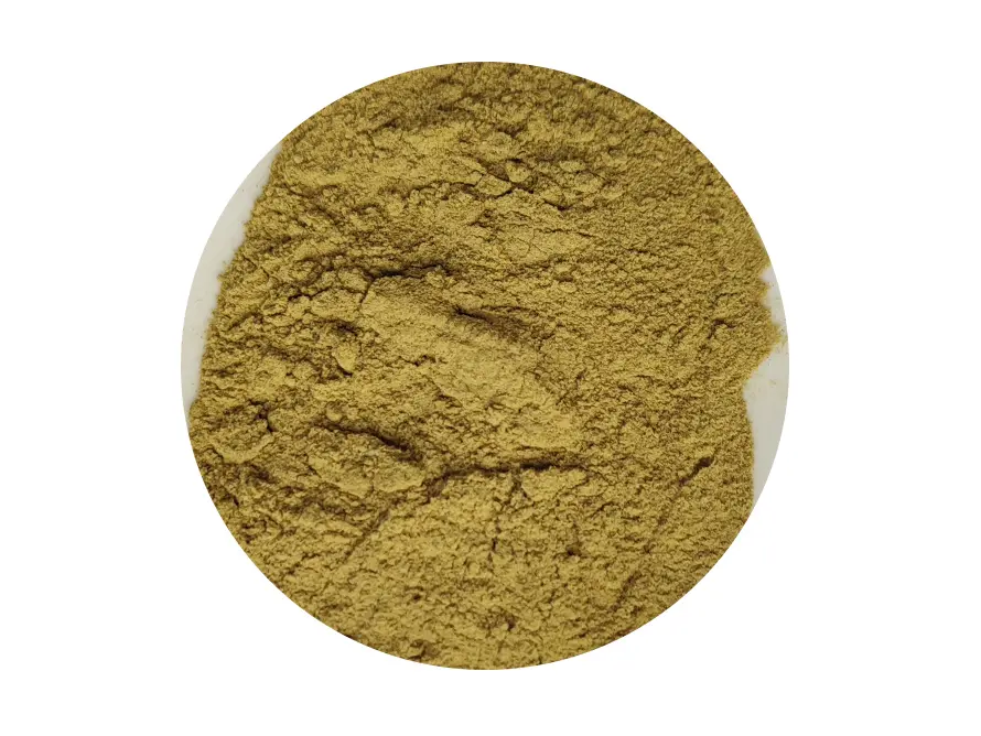 Buy Olive Leaf Extract Manufacturer, Service