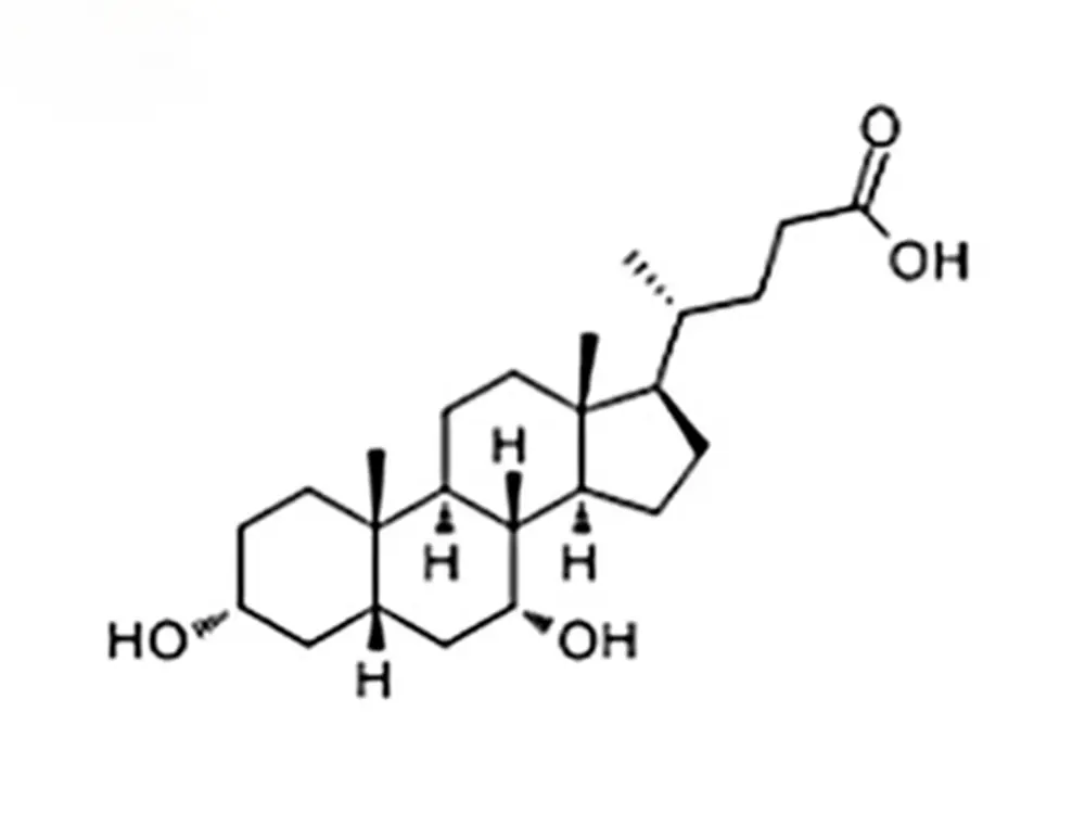 Custom Ursodeoxycholic acid Factory, Company