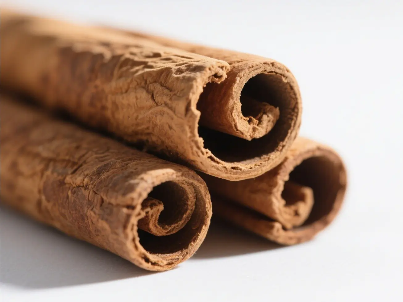 ODM Cinnamon Bark extract Exporter, Exporters