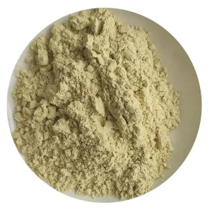 Buy Rutin Company